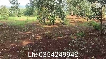 ( đã bán)đất vườn xã láng lớn H châu đức 17000m giá bán 13 tỉ