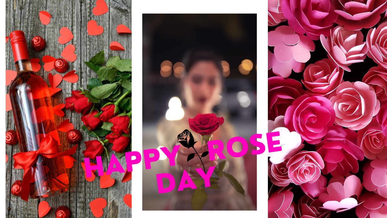 Happy Rose 🌹 Day 💞💞 Rose day status 2022 