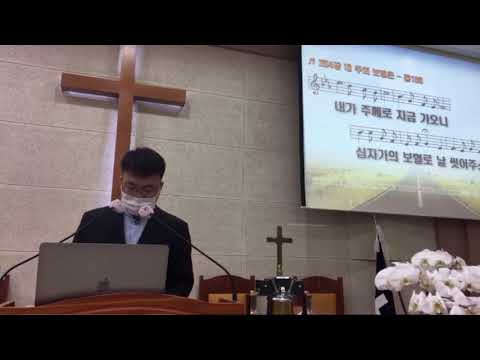 254장 내 주의 보혈은🎵