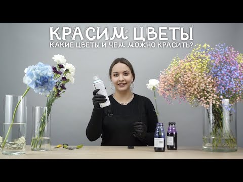 Как безопасно и качественно покрасить цветы?