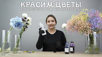 Как безопасно и качественно покрасить цветы?