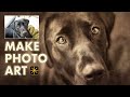 Turn Ordinary Photos into Artwork with Textures in Luminar Neo