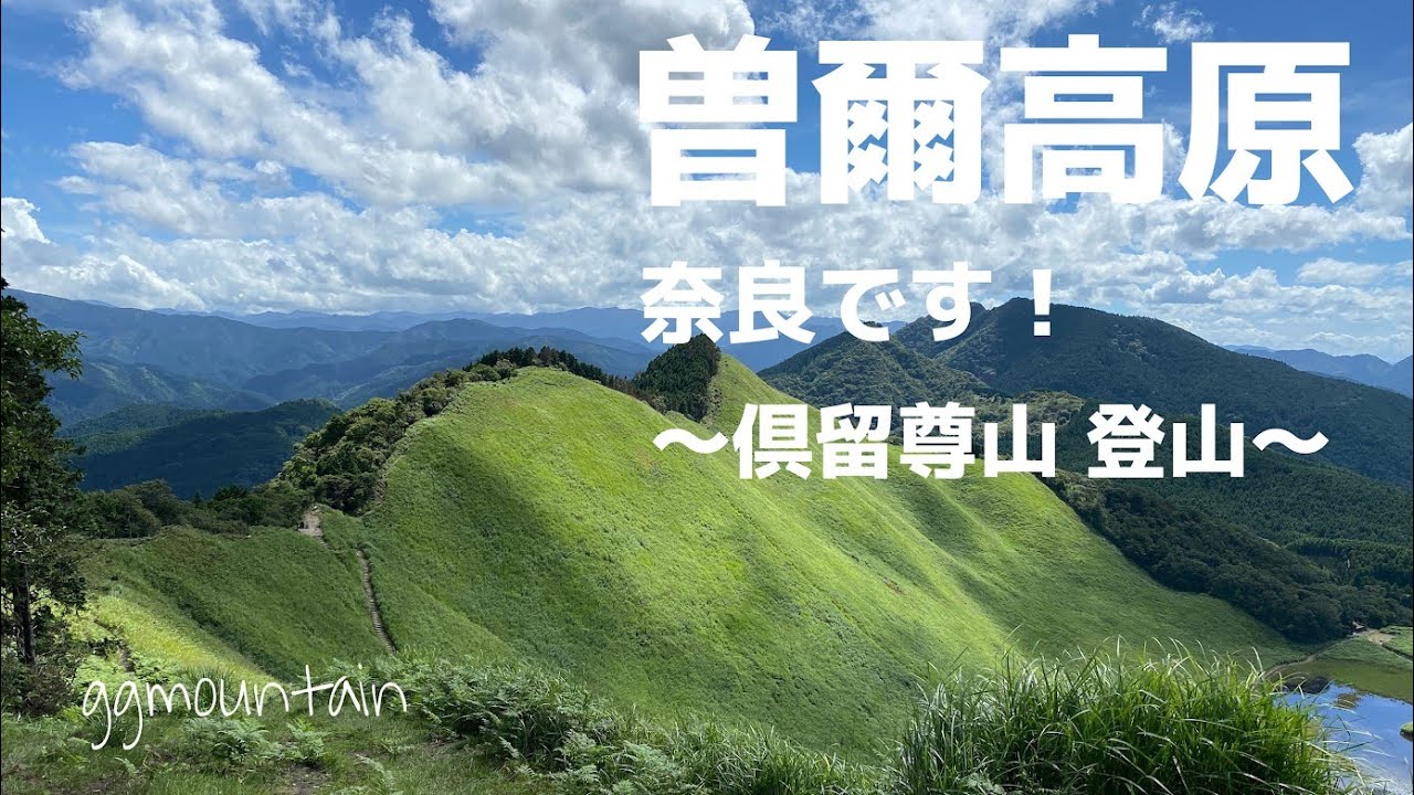 【8月 曽爾高原】倶留尊山 登山 京都から奈良のお山へ 秋のススキがおすすめです #曽爾高原 #倶留尊山 #登山 #山登り #ggmチャンネル  #GGM登山