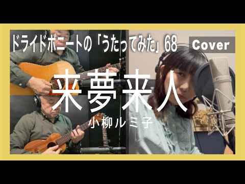 来夢来人（小柳ルミ子）【ドライドボニートの「歌ってみた」その６８】