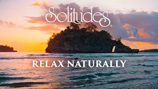 Dan Gibson’s Solitudes - Ocean Calling | Relax Naturally