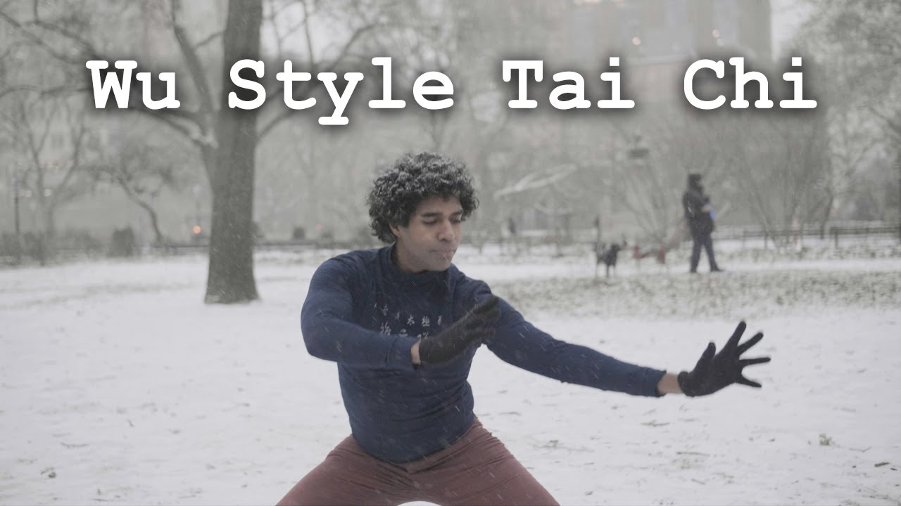 Wu Tai Chi in Snow Storm - Coach Jan Lucanus