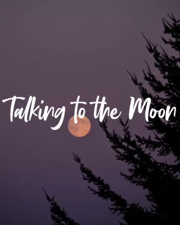 Story wa | lagu barat 30 detik slowed | Talking to the moon |