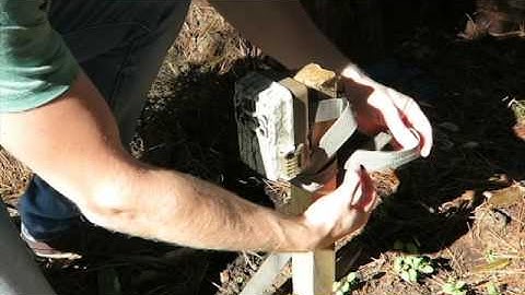 Camera Trapping 101   Installing your camera trap