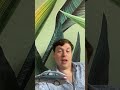 страховщики