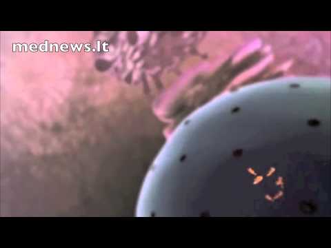 Video: Mokslininkai Atrado, Kaip Vėžio Gydymas Veikia Seksą - Alternatyvus Vaizdas