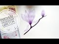 Как нарисовать прозрачный цветок акварелью, магнолия (how to draw a flower in watercolor)