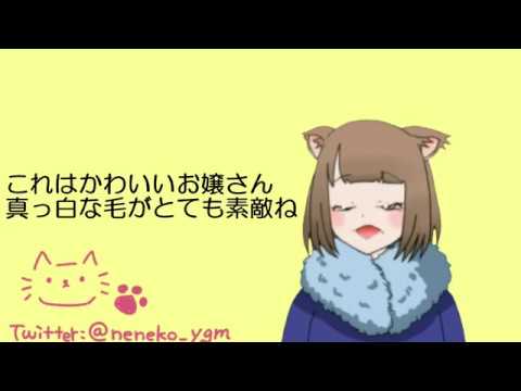 【夜噛ねねこ】嗚呼、素晴らしきニャン生【歌ってみた】