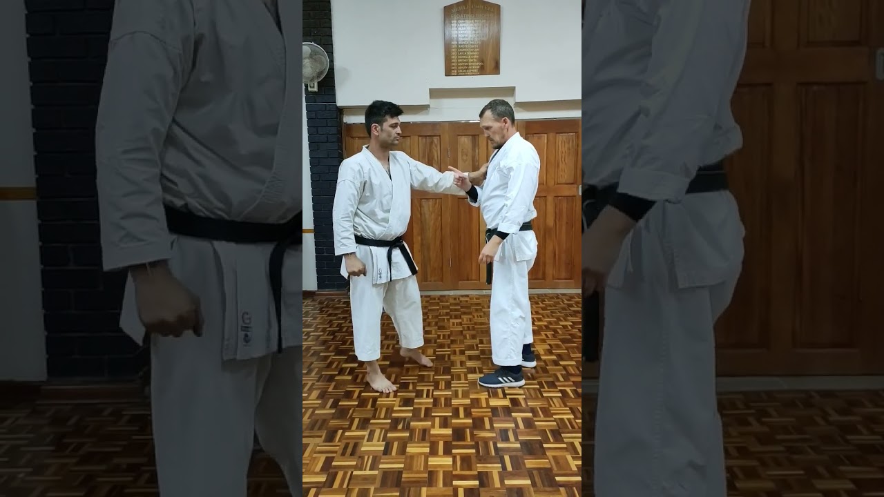 Application for opening sequence of Pinan / Heian Sandan 