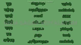 Synonyms for Tree in Sanskrit
