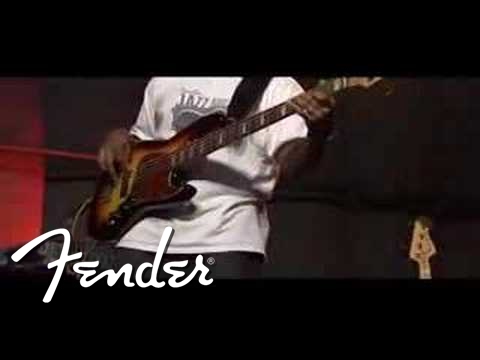 Fender Basses and Bass Amplification: Reggie Hamilton IV