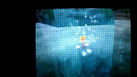 Rayman glitches