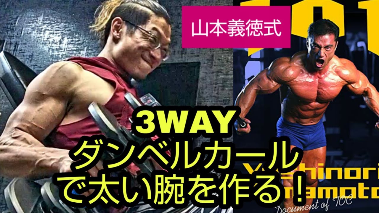 【山本義徳式】3WAYダンベルカールで太い腕を作る！ video phone beyonce mp3