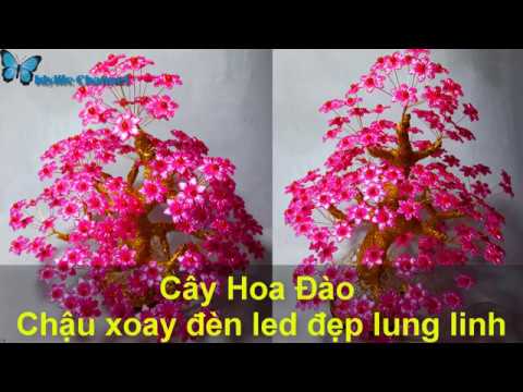 Cành vàng lá ngọc - Cây Hoa Đào chậu xoay đèn led| Handmade tết