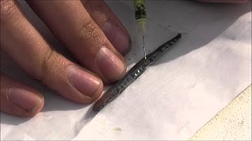 Salamander VIE Part 2: Application in the field