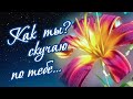 Как ты там? Скучаю по тебе!