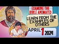   learn from the examples of others  examine the bible animated