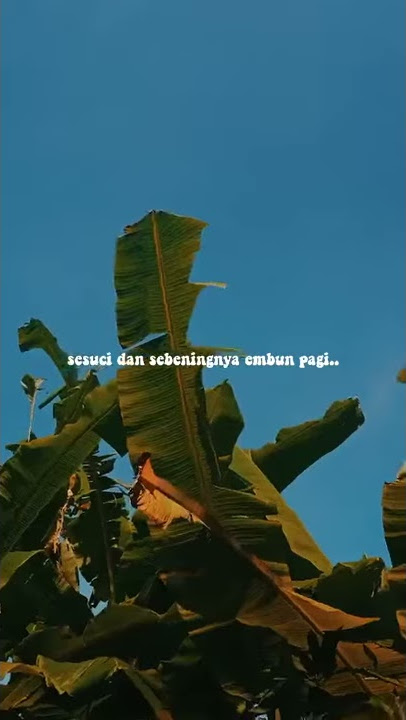 story WA-Aku Suka Dia Mak Aku Sayang Dia Mak-Viral Tiktok