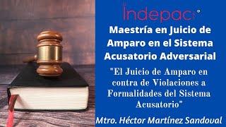 1. Maestría en Juicio de Amparo en el Sistema Acusatorio Adversarial-Unidad 1. Derechos Humanos.