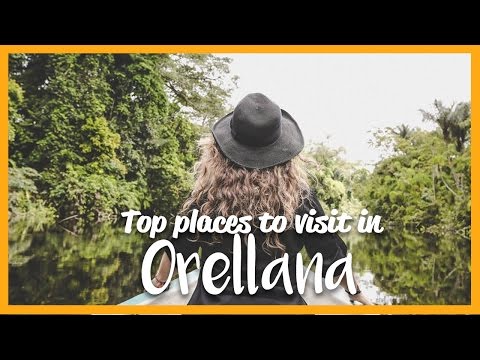 Top places to visit in the Yasuni National Park, Orellana