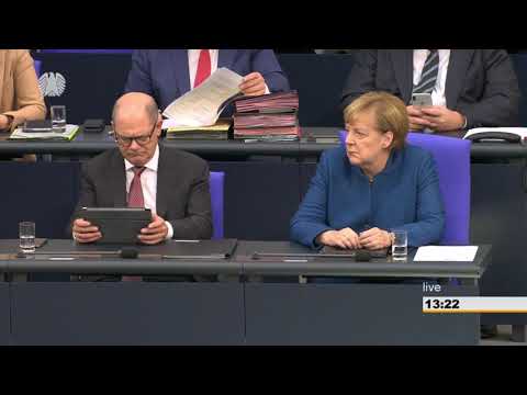 Weidel nach Regierungserklärung: