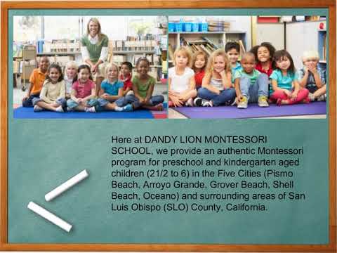 DANDY LION MONTESSORI SCHOOL