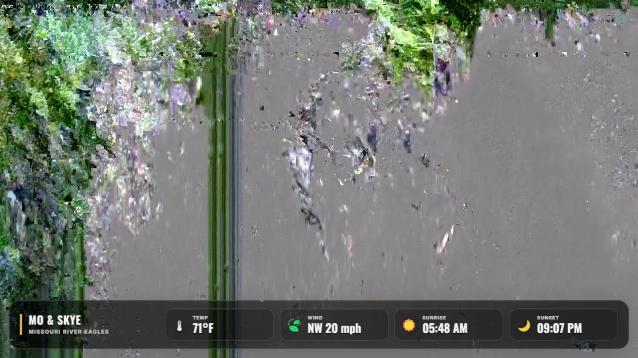 LIVE Missouri River Bald Eagle Cam | Mo &amp; Skye | Nest Watch 24/7
