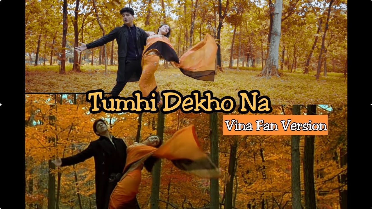 TUMHI DEKHO NA   Vina Fan Version Parodi Recreate   Rani Mukerji Shah Rukh Khan Kabhi Alvida