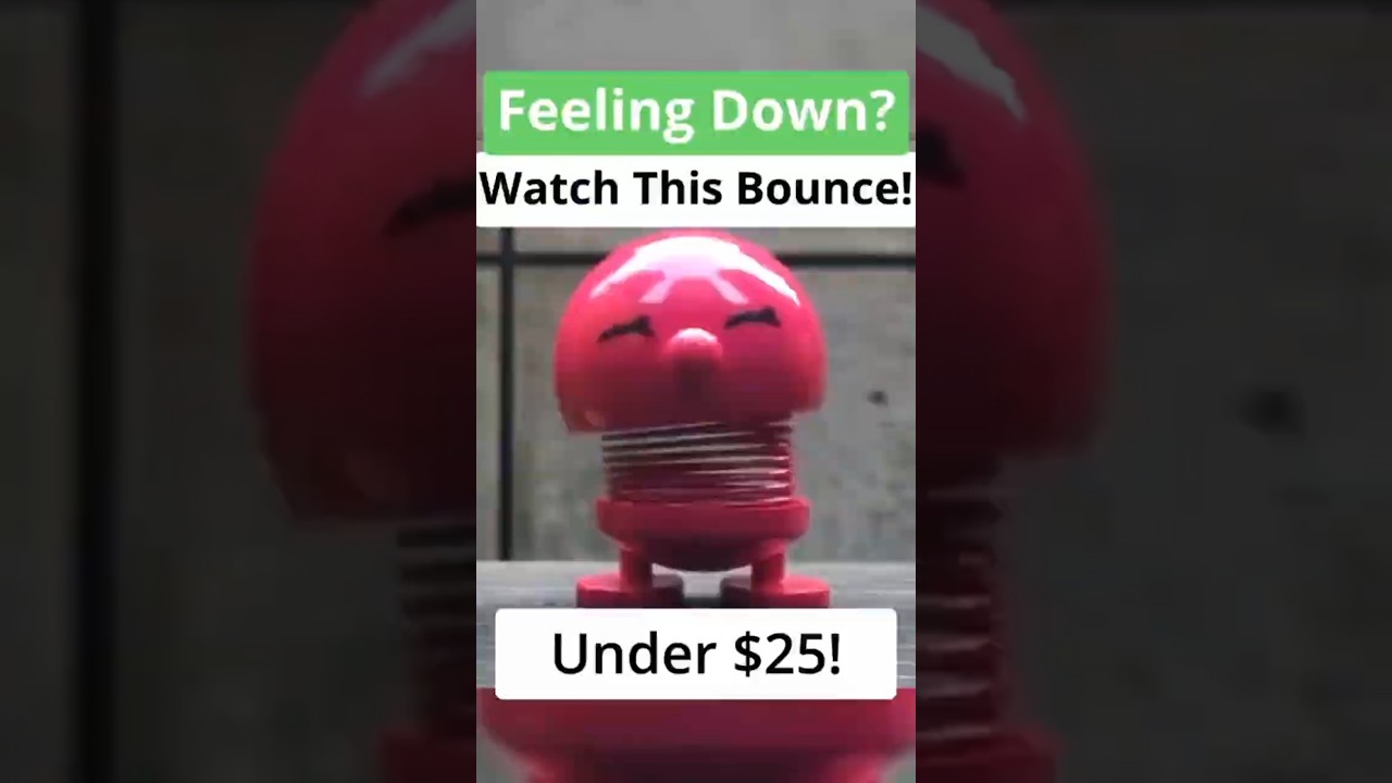 Feeling Down? What This Bounce! | Under $25!