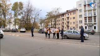 Сотрудники Госавтоинспекции и новгородские школьники провели профилактическую акцию