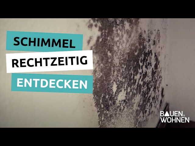 Achtung, Schimmel! - Bretten