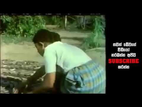 Visidala Sinhala movie   Adults only Sri lankan video