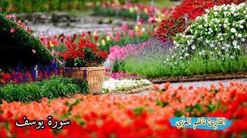 سورة يوسف كاملة تجويد بمقام عراقي بصوت القارِئ ناظم العزّي