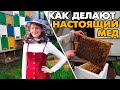 Заехали в гости к пчеловоду на пасеку. Откуда берется настоящий мёд? Жизнь в Краснодарском крае