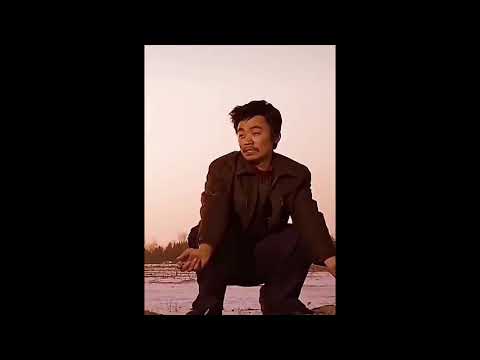 Hello树先生