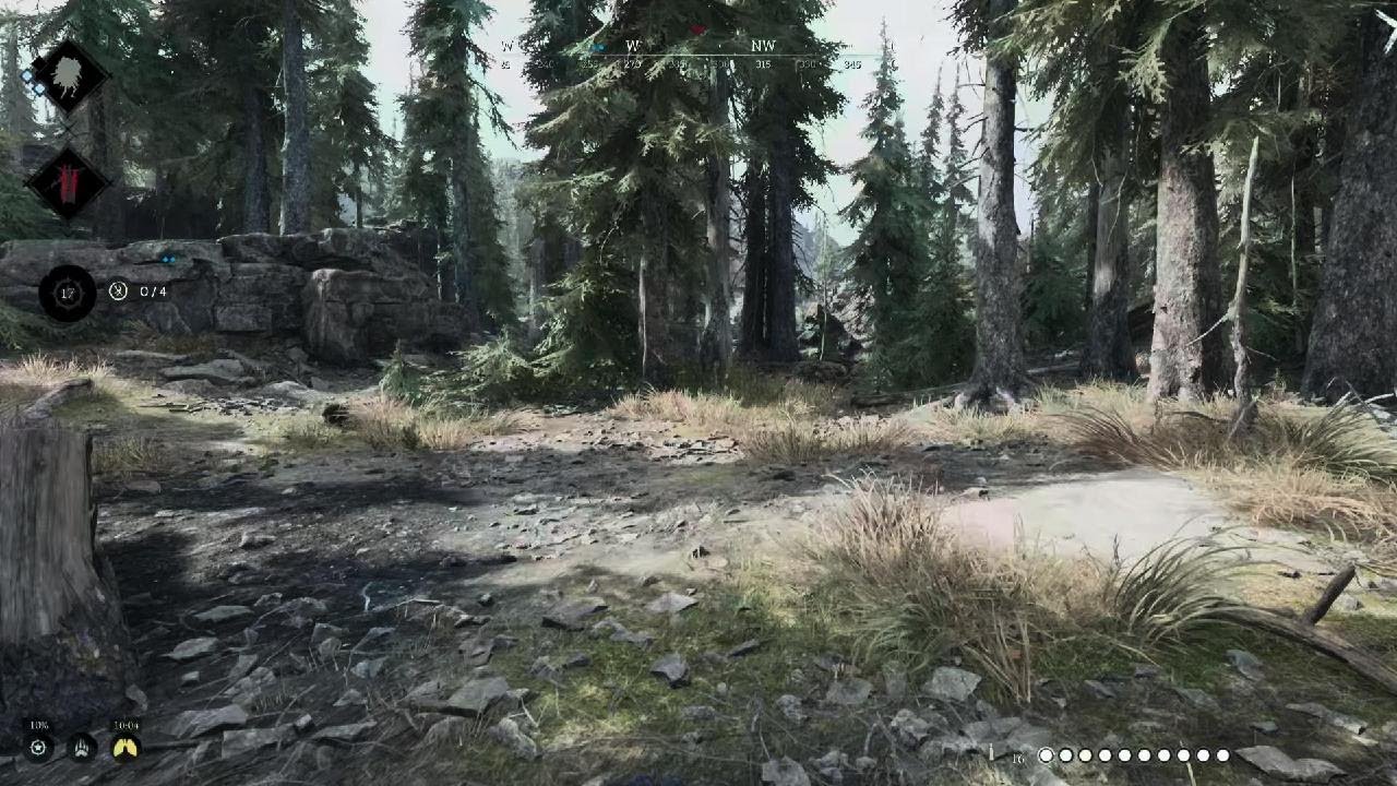 HUNT: SHOWDOWN 1896_20241112130850