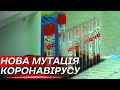 Нова мутація Ковіду «Дженні»: скільки випадків зареєстрували на Сумщині?