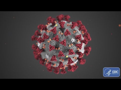 CDC conference call: Spread of novel coronavirus in US appears 'inevitable,' risk currently 'low' CDC conference call: Spread of novel coronavirus in US appears 'inevitable,' risk currently 'low'