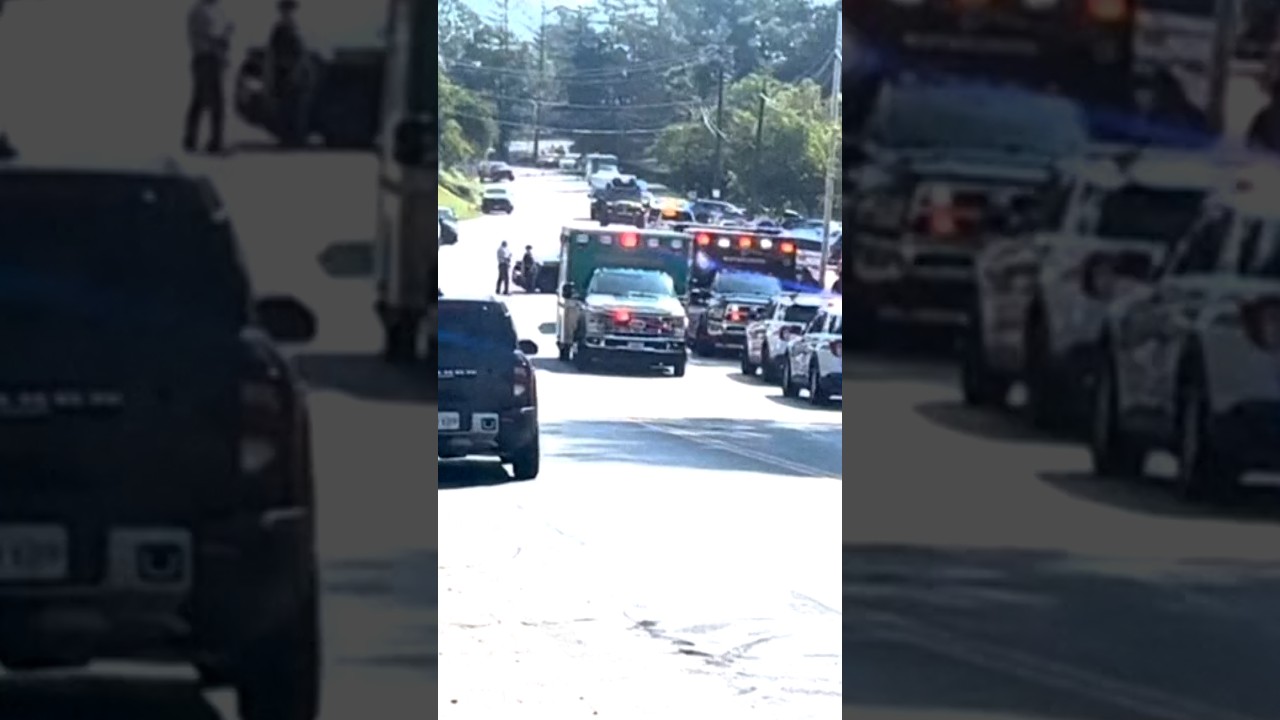 Deadly shooting at a Virginia elementary school library Deadly shooting at a Virginia elementary school library