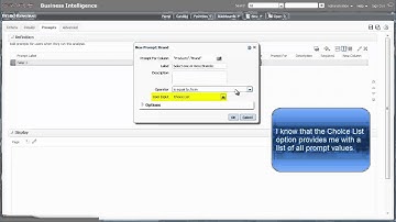 Creating Column Prompts  Using Oracle BI EE