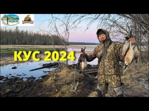 Дэриэбинэ таһыгар кустааһын - Саҥа биидьик