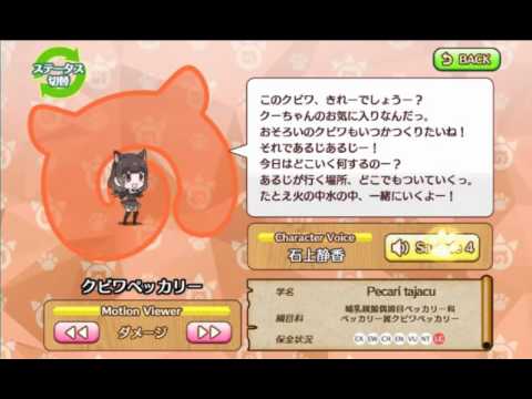 アプリ版 けものフレンズ モーション ボイス集04 キュウシュウフクロウ ゴールデンライオンタマリン Youtube