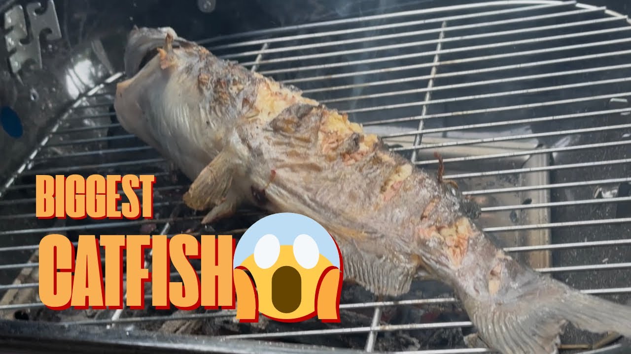 Biggest Catfish na Nahuli +Inihaw😱 - YouTube