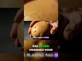Cette technique de coupe change TOUT pour vos pommes de terre #jardin #récolte #diy