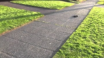 brushless 8000kv 2s rc18b2 speed runs