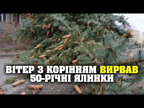 Рясний дощ, шквальний вітер і град – Дніпро пережив чергову негоду